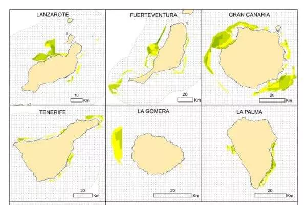 FB_IMG_1676368901243