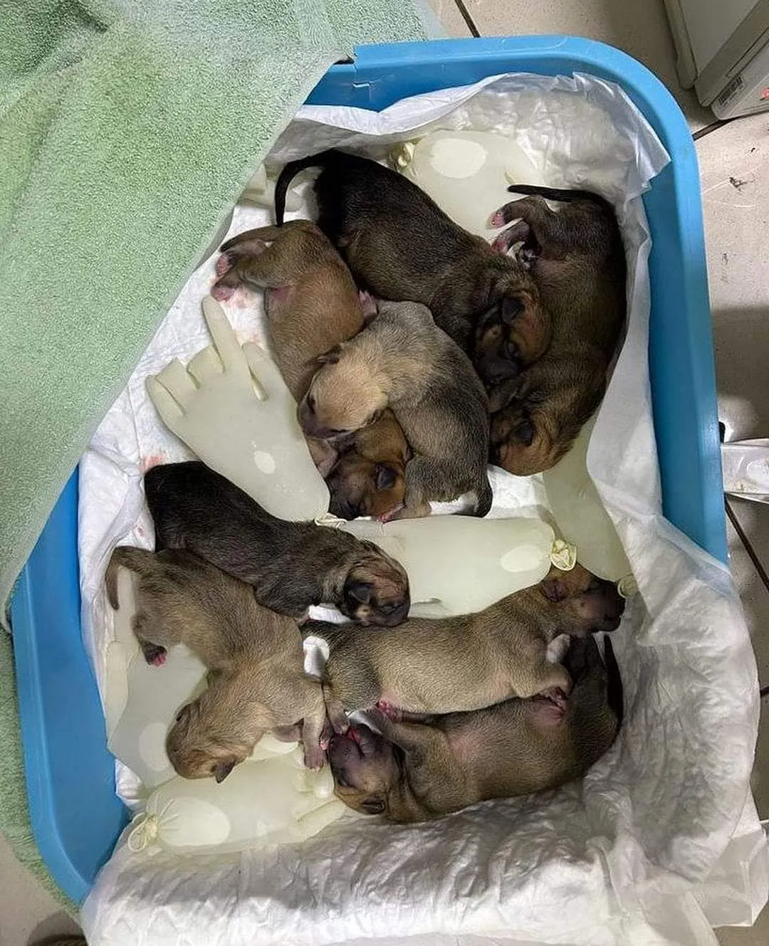 FB_IMG_1701026655340