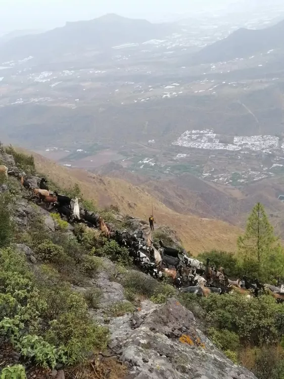 FB_IMG_1667037167247