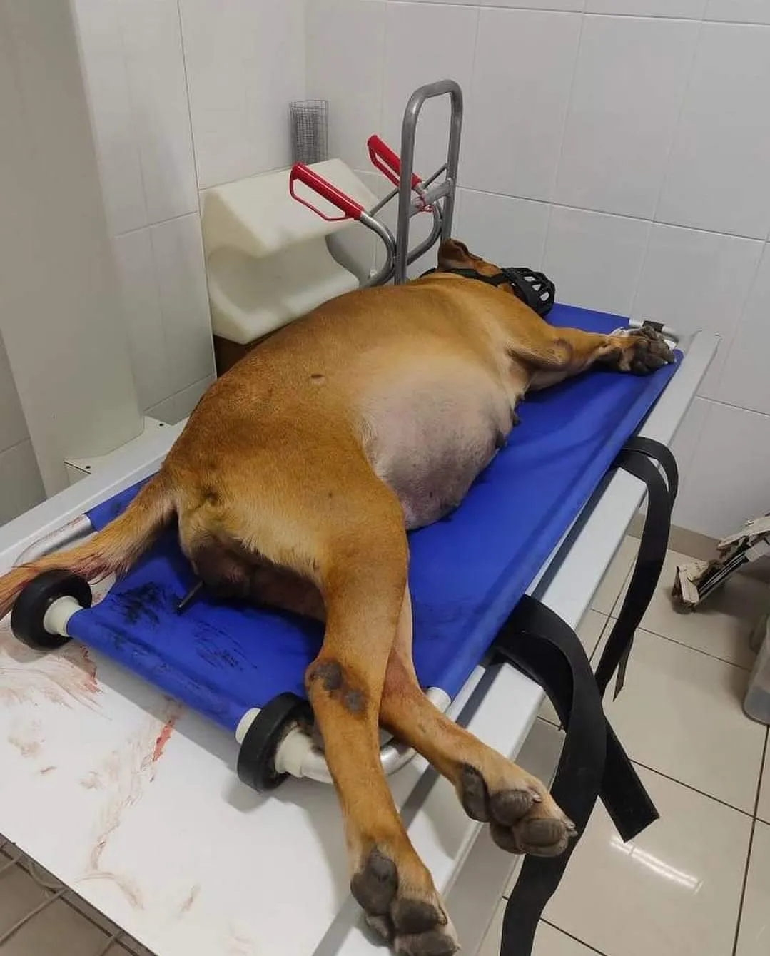 FB_IMG_1701026627803