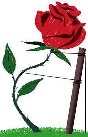 images (22)