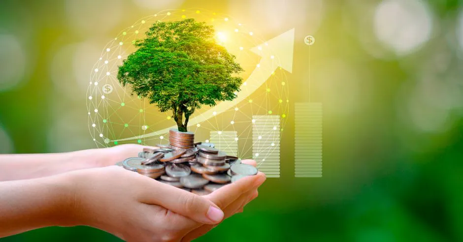 2b14bdea-2337-406d-b3c2-04b547095353_900_900