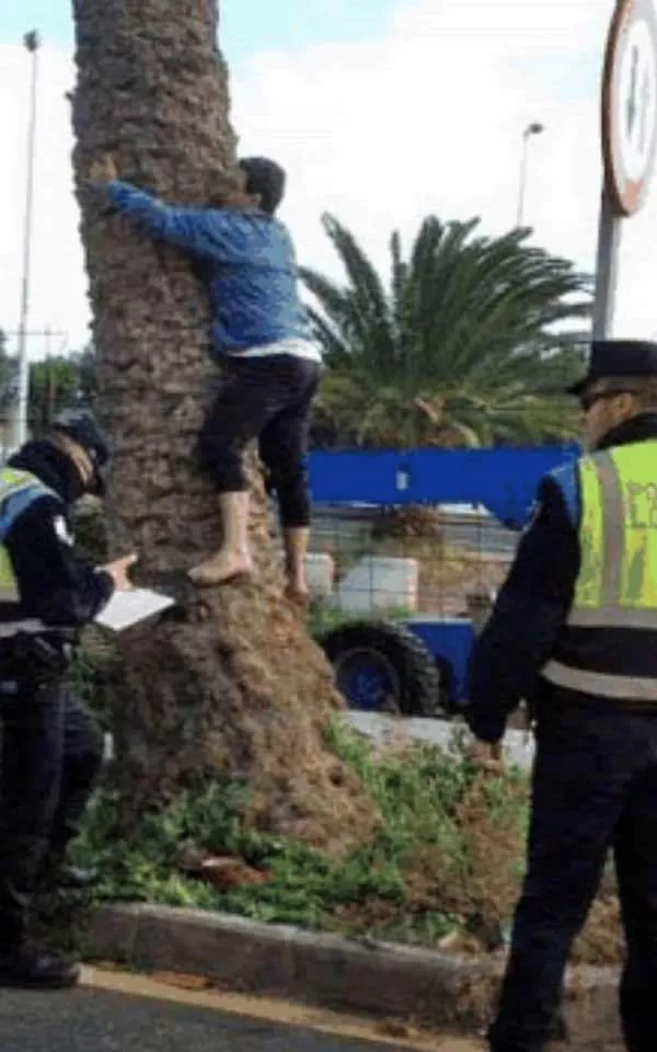 FB_IMG_1658355531728