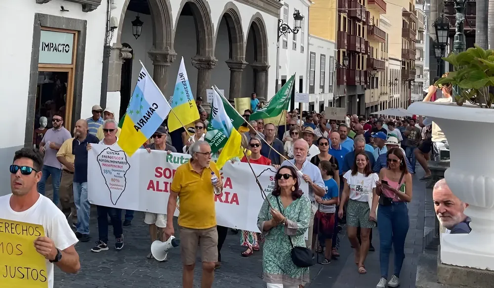 snapedit_1698d3375d61801 (1)