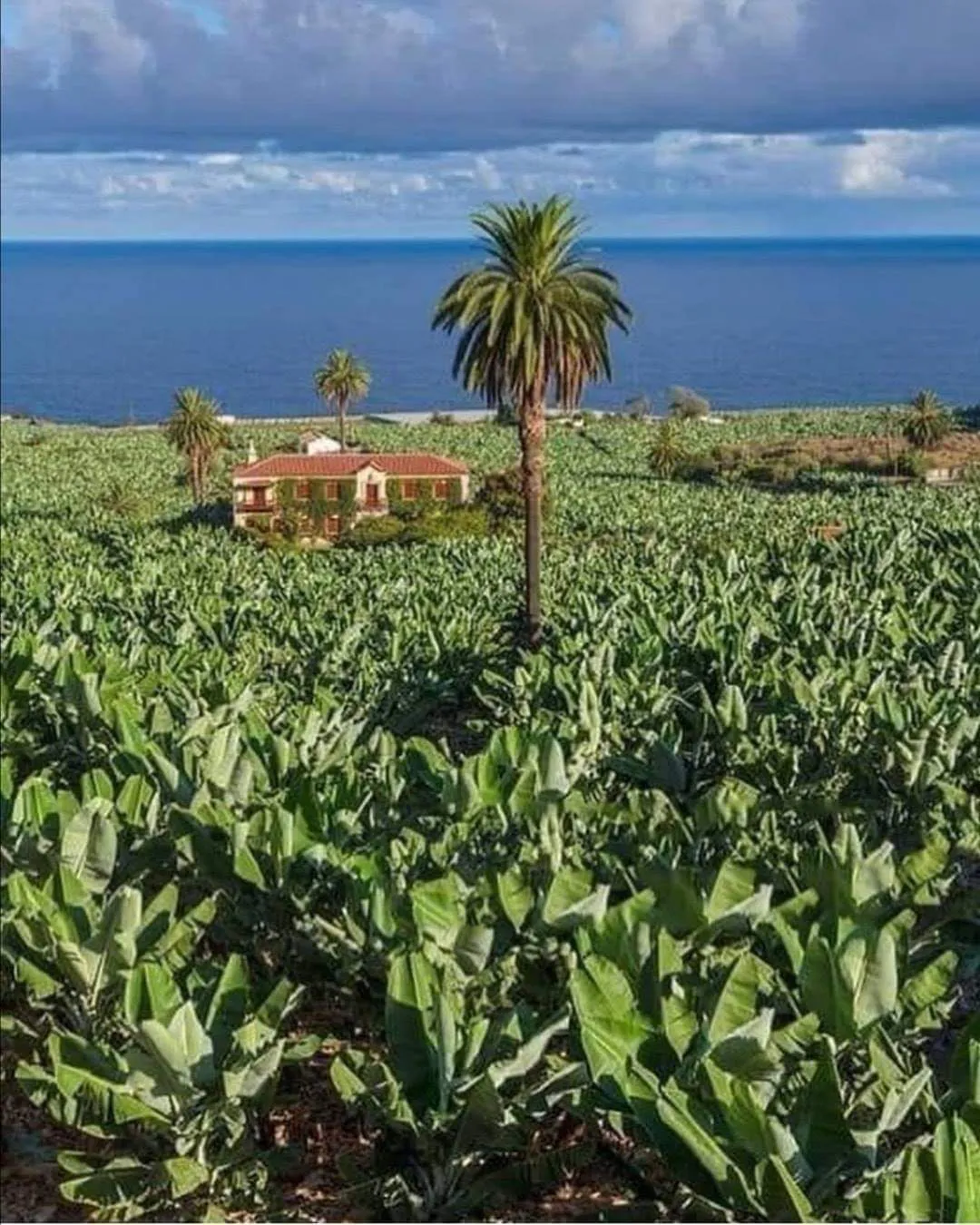 FB_IMG_1670451678219