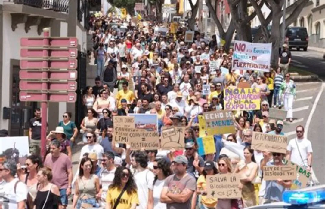 Screenshot_20241211_001001_ChatGPT