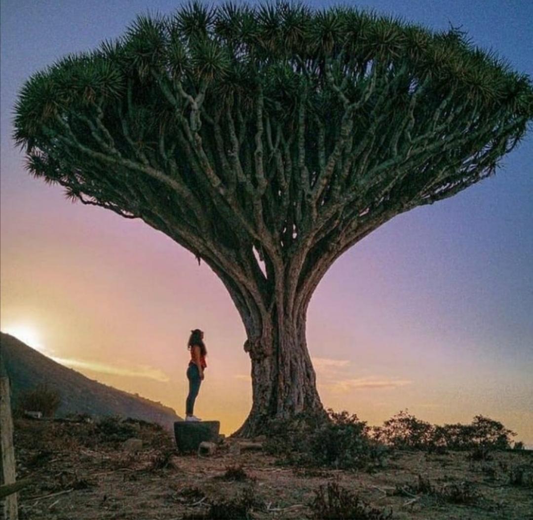 Screenshot_20210219_225442