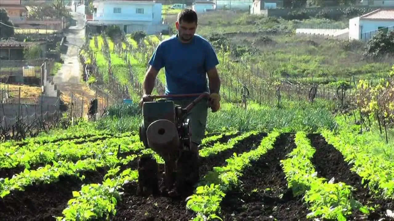 agricultura