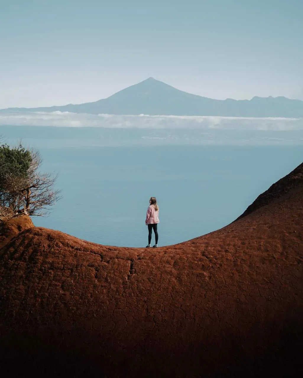 FB_IMG_1670454112048