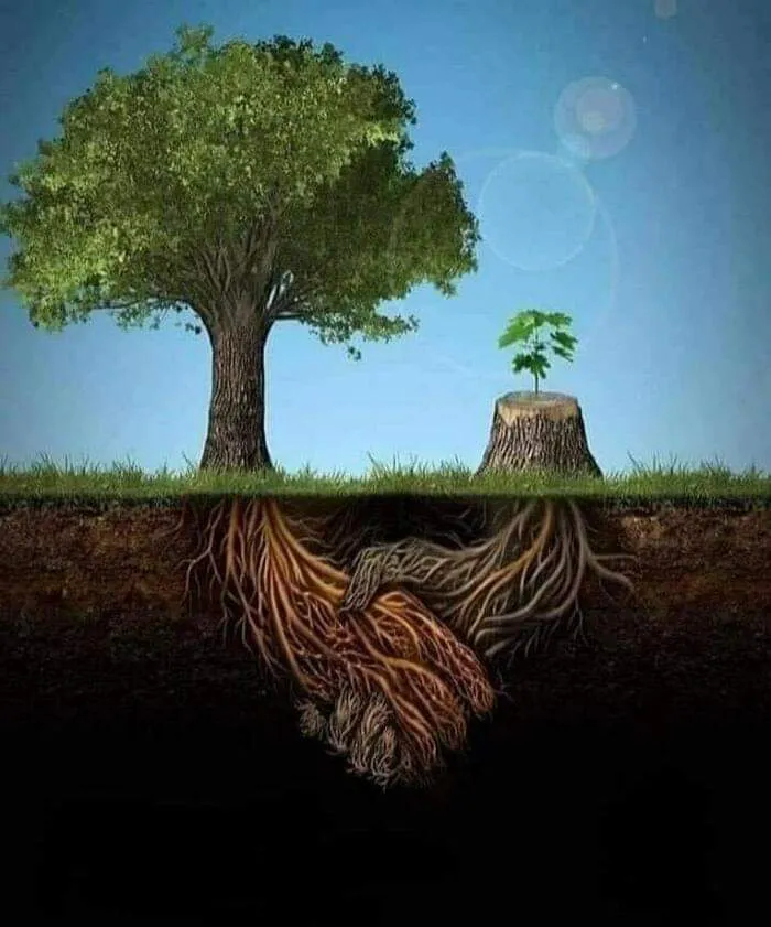 FB_IMG_1662205924706