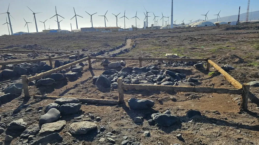 FB_IMG_1764029433318