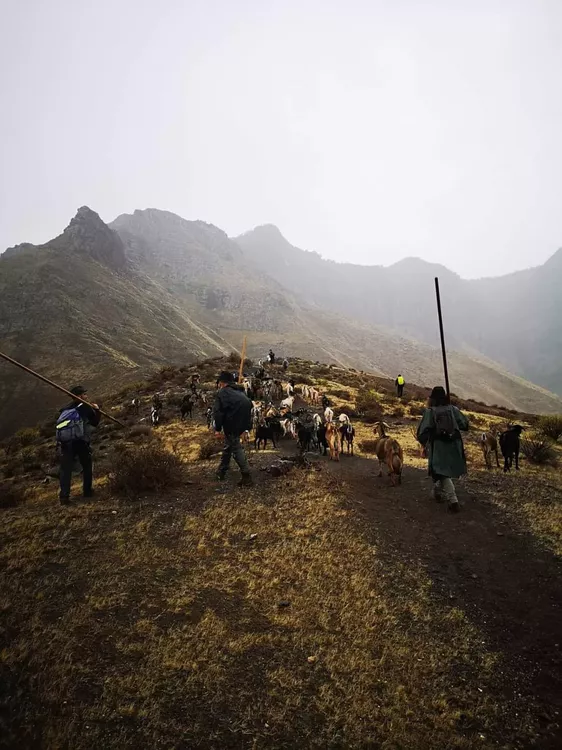 FB_IMG_1667037179792