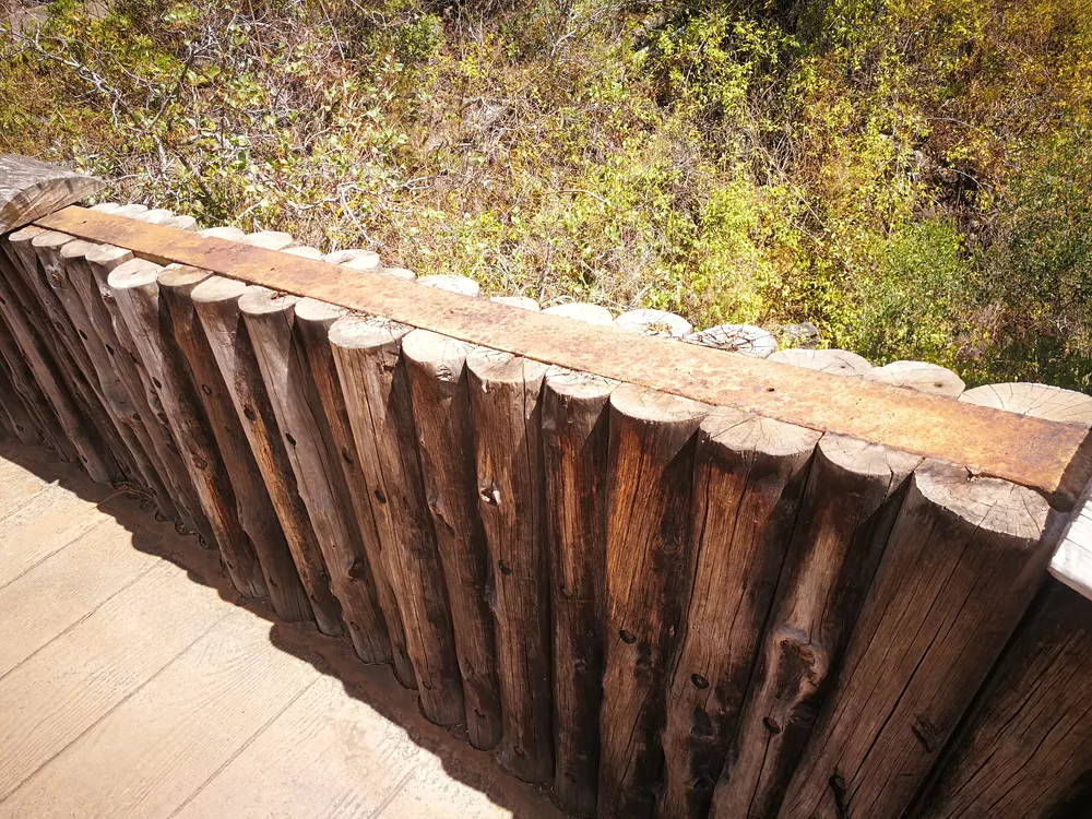 jardin-canario-hijosdecanarias.com