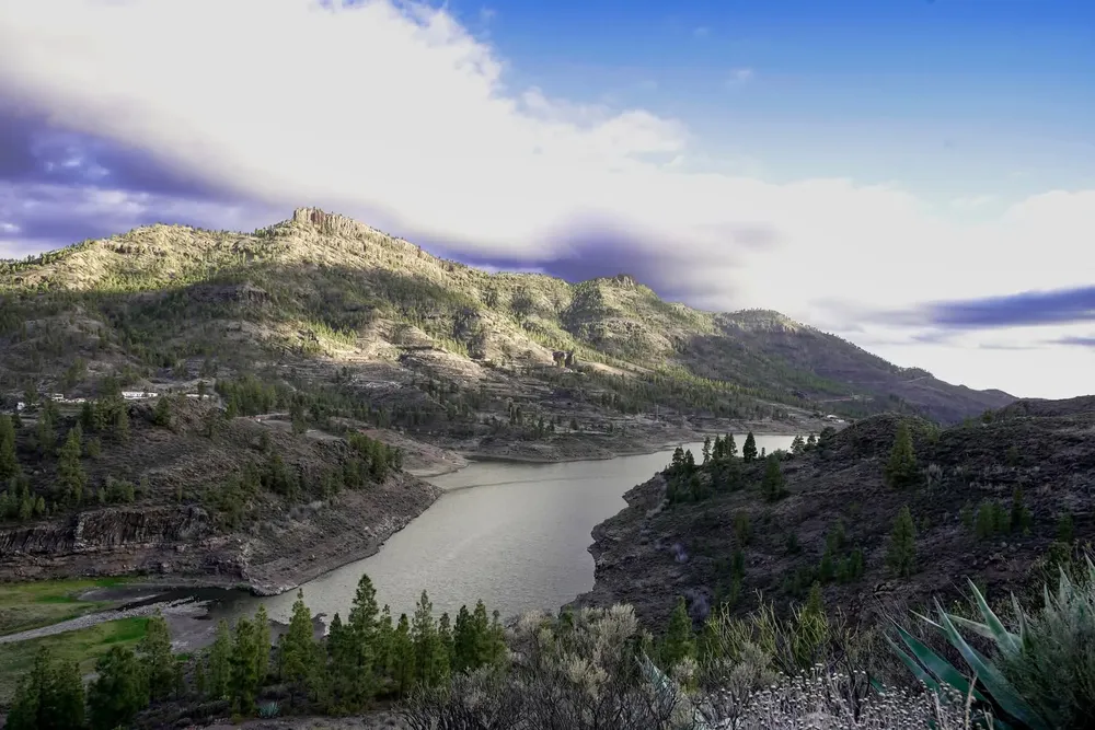 FB_IMG_1766513793531