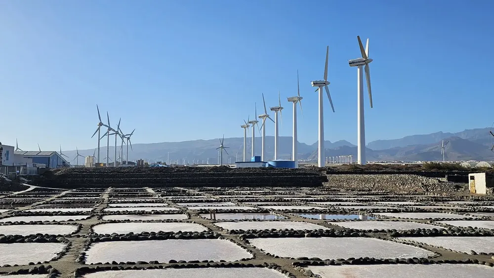 FB_IMG_1764029423281