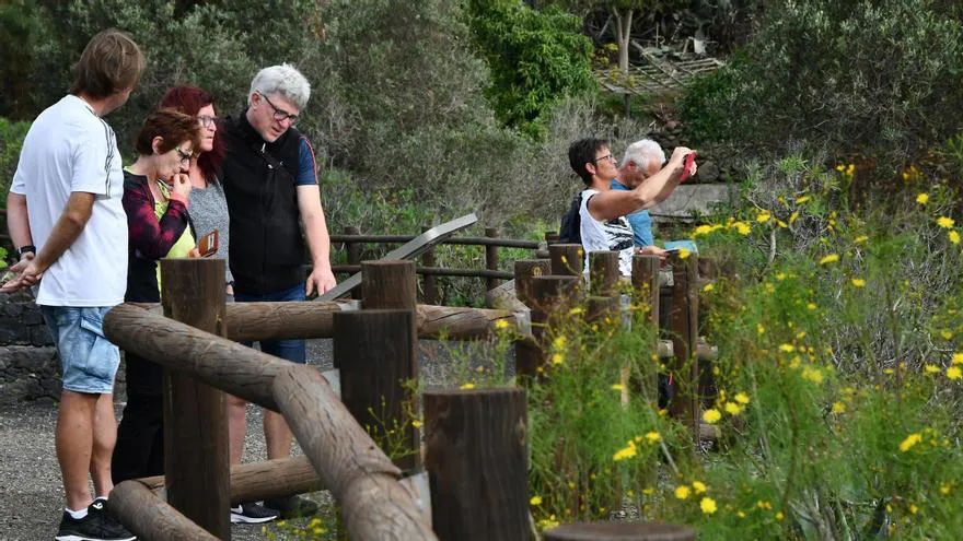 6d446e29-481c-4b11-97c0-940b383086a0_16-9-aspect-ratio_default_1297894