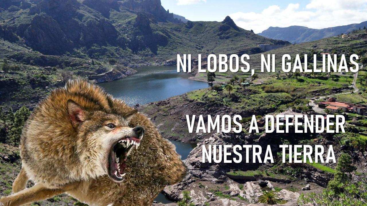 LOBOS
