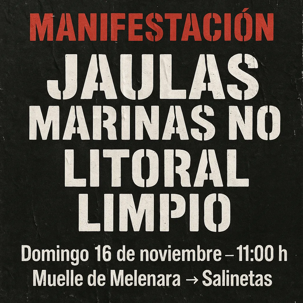 file_00000000367071f49804cd8c9d9dc3ad