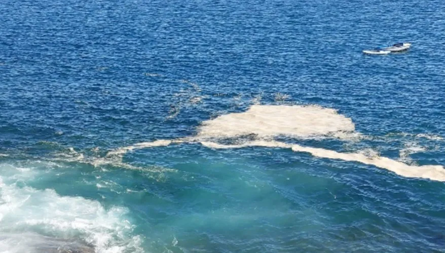 Screenshot_20251115_201255_Word