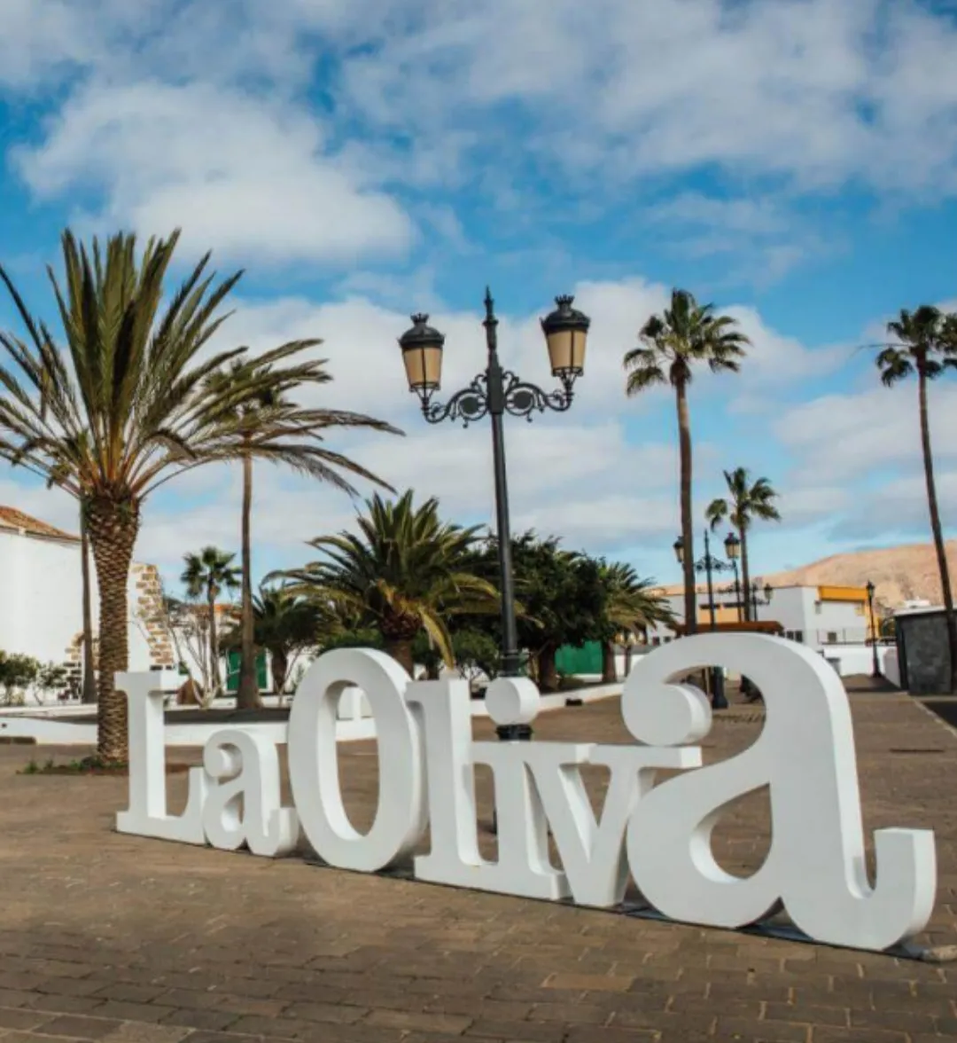 Screenshot_20251218_161521_ChatGPT