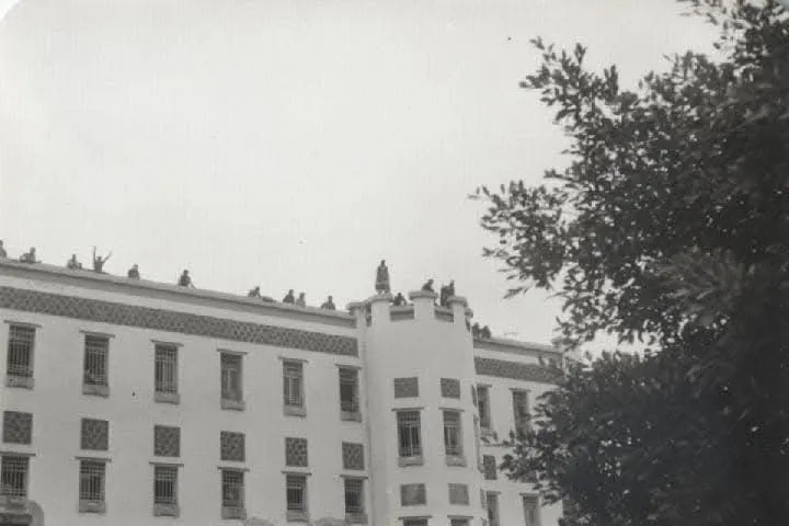 FB_IMG_1736731608230